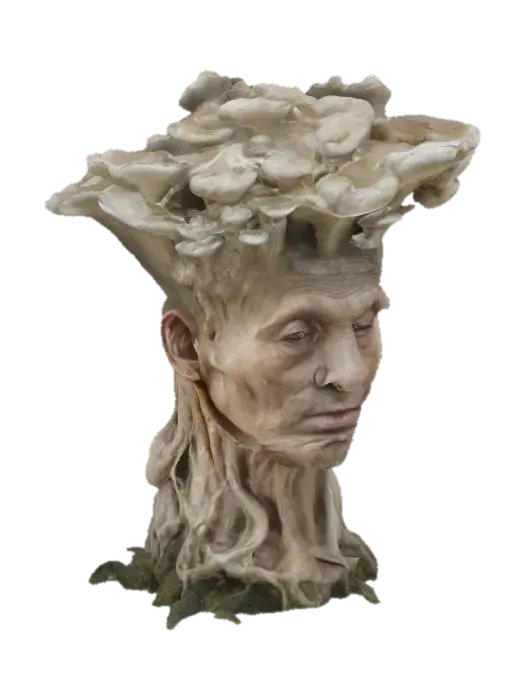 Modello 3D Mushroom Elder - Fable, generato dall’IA