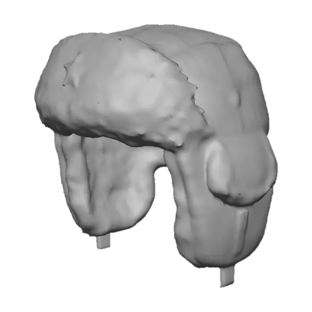 3D model for Ushanka with Star