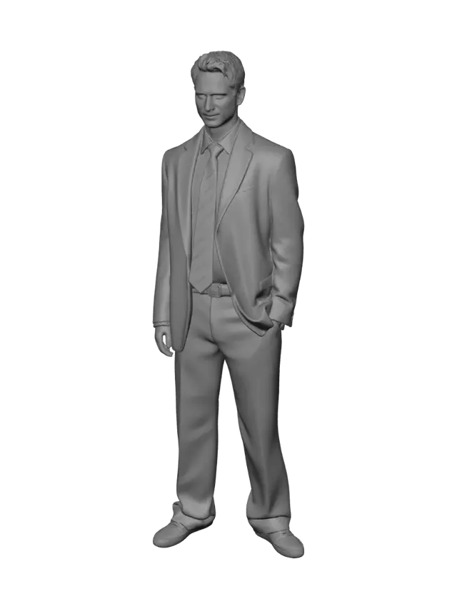 3D model for Gray Suit on the Red Carpet