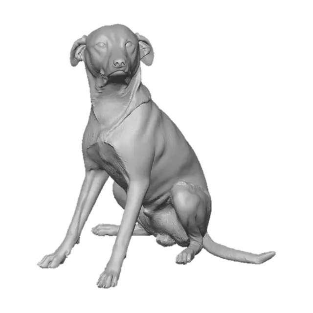 3D model for Cachorro Caramelo 
caramel dog