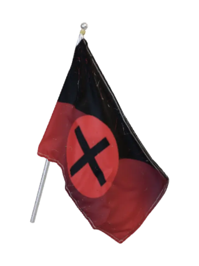 3D model for Antifascist flag with stick