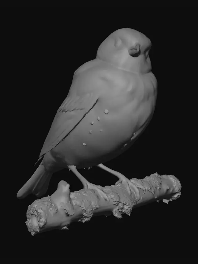 3D model for Golden Finch on a Mossy Branch