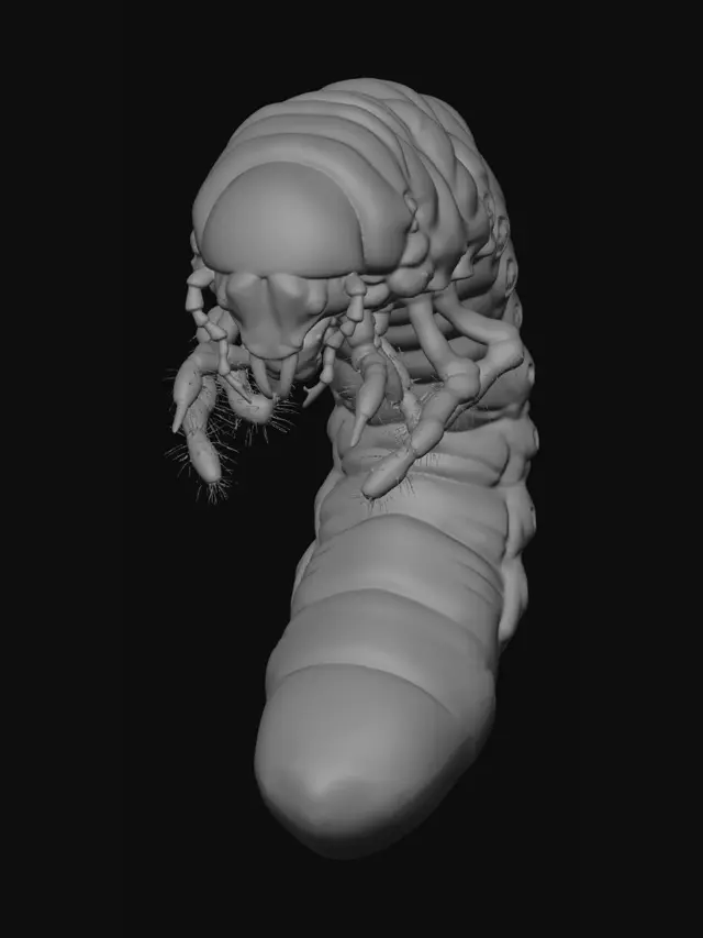 3D model for C-shaped white grub in soil