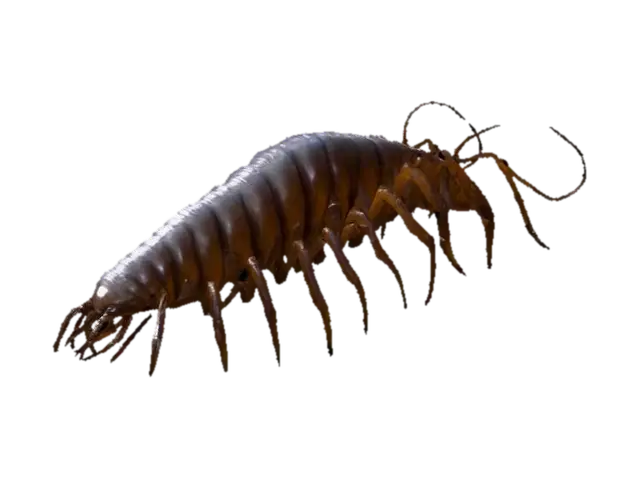 Giant monstrous centipede. Extremely elongated segmented body, stretching long… 3D model, vytvořený pomocí AI