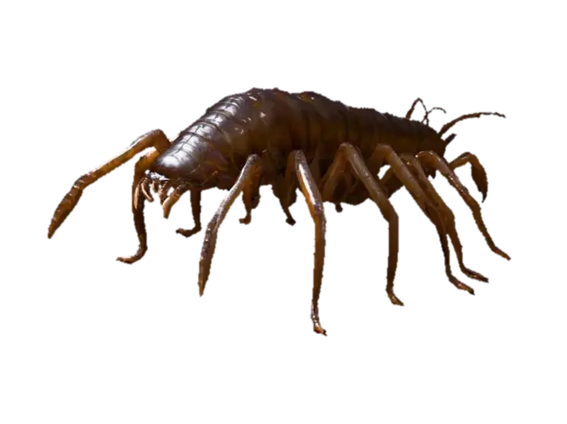 3D model for Giant monstrous centipede. Extremely elongated segmented body, stretching long and narrow like a worm. Dozens of thin insect legs running along both sides, evenly spaced. Each leg sharp, clawed, jointed, moving in waves. Glossy armored chitin covering every segment. Head small compared to body, with many eyes and sharp biting mandibles, not crab claws. Long slimy tentacles emerging from mouth and thorax, writhing and reaching. Texture rough, glossy, slimy fluids. Dark brown and black body, faint green bioluminescent glow between segments. Horror tone, unnatural predator. Realistic, cinematic detail.
