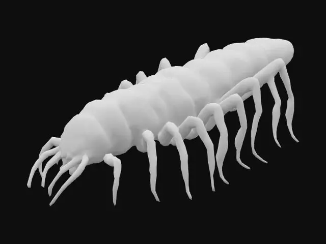 3D model for Giant monstrous centipede. Extremely elongated segmented body, stretching long and narrow like a worm. Dozens of thin insect legs running along both sides, evenly spaced. Each leg sharp, clawed, jointed, moving in waves. Glossy armored chitin covering every segment. Head small compared to body, with many eyes and sharp biting mandibles, not crab claws. Long slimy tentacles emerging from mouth and thorax, writhing and reaching. Texture rough, glossy, slimy fluids. Dark brown and black body, faint green bioluminescent glow between segments. Horror tone, unnatural predator. Realistic, cinematic detail.
