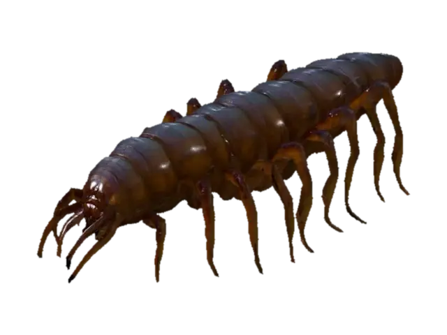 3D model for Giant monstrous centipede. Extremely elongated segmented body, stretching long and narrow like a worm. Dozens of thin insect legs running along both sides, evenly spaced. Each leg sharp, clawed, jointed, moving in waves. Glossy armored chitin covering every segment. Head small compared to body, with many eyes and sharp biting mandibles, not crab claws. Long slimy tentacles emerging from mouth and thorax, writhing and reaching. Texture rough, glossy, slimy fluids. Dark brown and black body, faint green bioluminescent glow between segments. Horror tone, unnatural predator. Realistic, cinematic detail.

