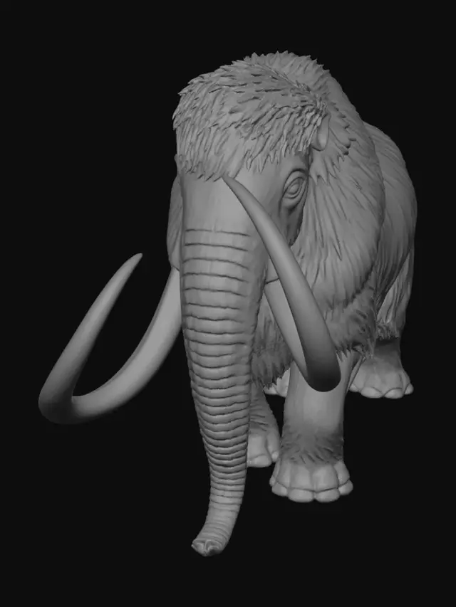 3D model for peinture parietale d'un mammouth laineux