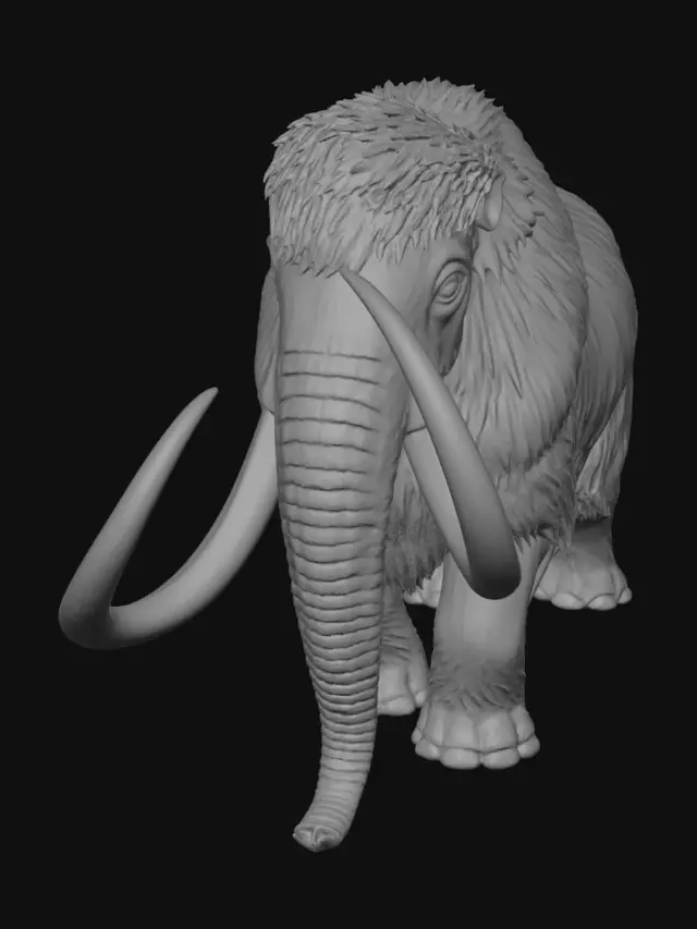 3D model for peinture parietale d'un mammouth laineux