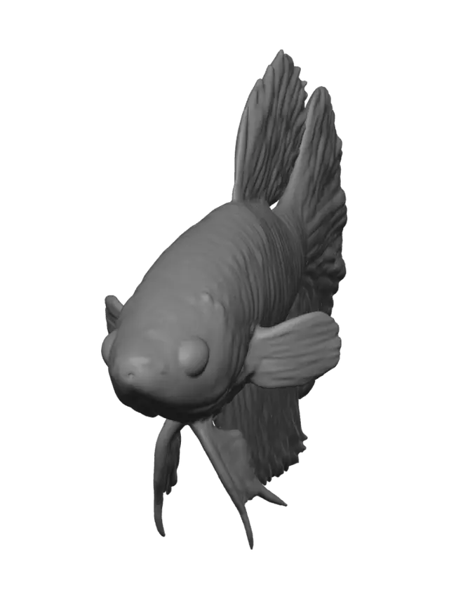 3D model for Crimson Tide Betta