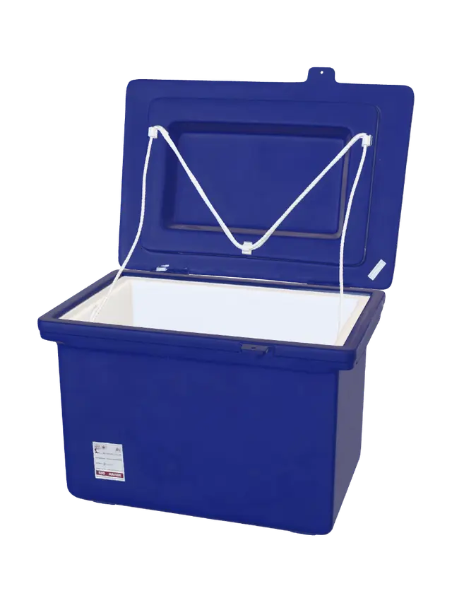 3D model for Blue cooler with open lid
