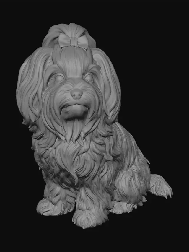 3D model for Das Bild zeigt meinen Hund. Ich möchte den Hintergrund entfernen, um druckbare Modelle von meinem Hund daraus zu erstellen.