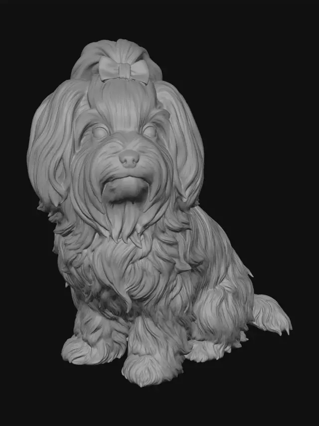 3D model for Das Bild zeigt meinen Hund. Ich möchte den Hintergrund entfernen, um druckbare Modelle von meinem Hund daraus zu erstellen.