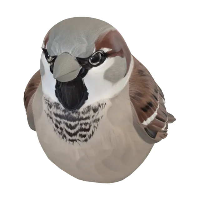 3D model for Wooden Sparrow