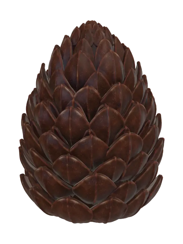 3D model for Chocolate Pinecone