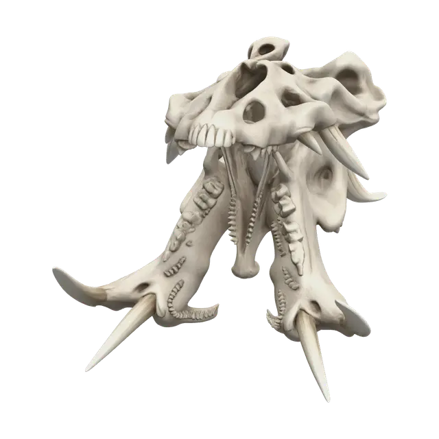 3D model for Stylized Hippo Skull