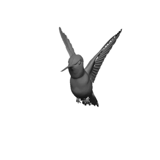 3D model for hazme un colibrí con las alas abiertas sin demasiado plumaje