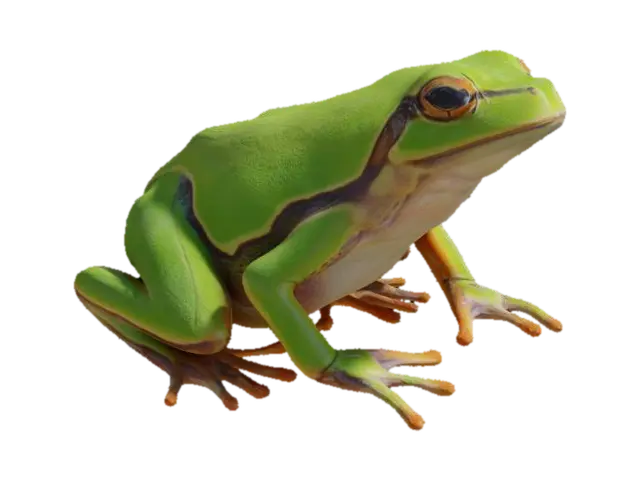 3D model for Green FROG