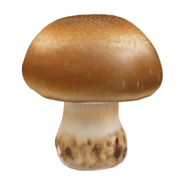 3D model for Mushroom Majesty
