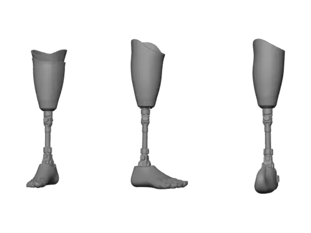 3D model for Lower leg prosthesis (2002)