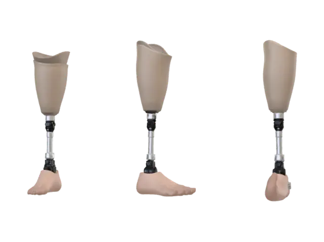 3D model for Lower leg prosthesis (2002)