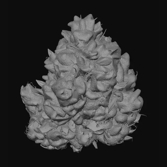 3D model for Eight Angles of Green Buds