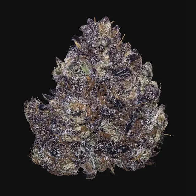 3D model for Eight Angles of Green Buds