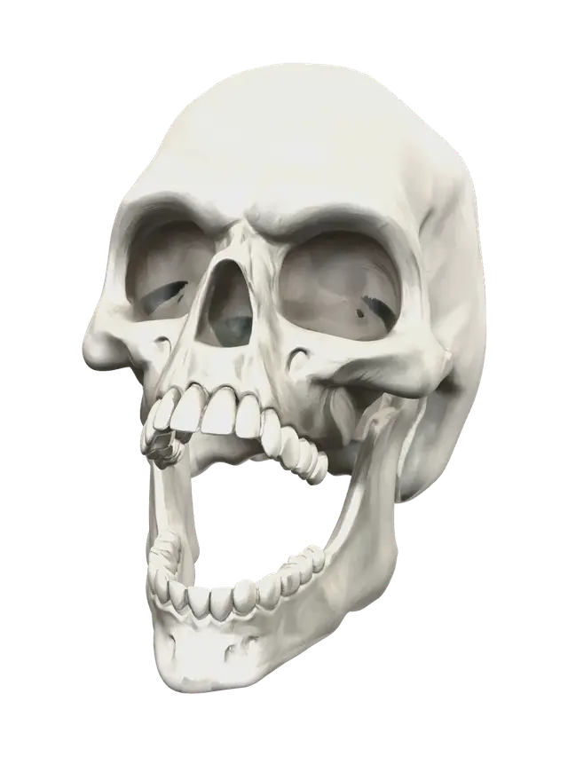 Modern Skull Diagram - Lineart 3D model, vytvořený pomocí AI