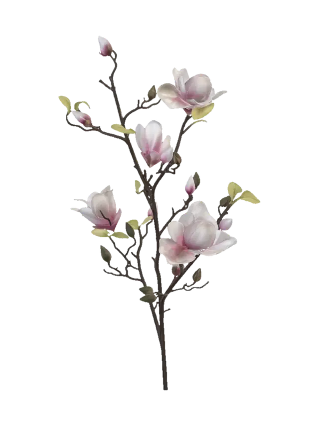 Pink Magnolia Branch 3D model, vytvořený pomocí AI