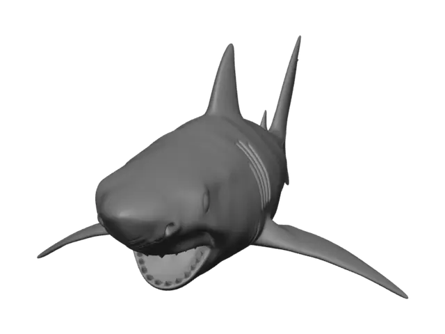 3D model for shark and fish