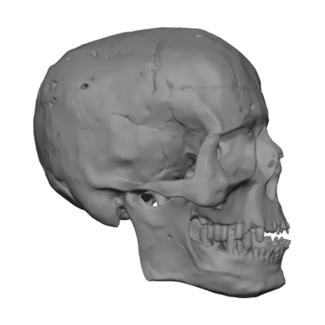 3D model for Marble Muse