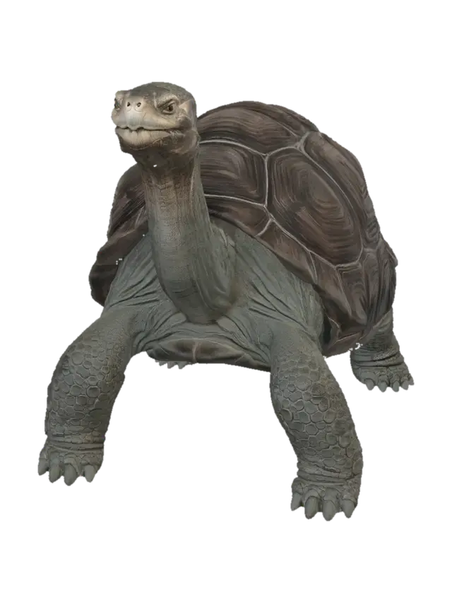 Pinta Island Tortoise - Galapagos 3D model, vytvořený pomocí AI