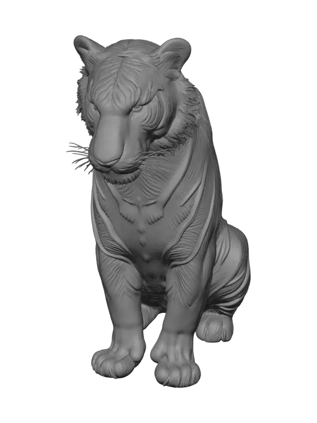 3D model for Regal Tiger