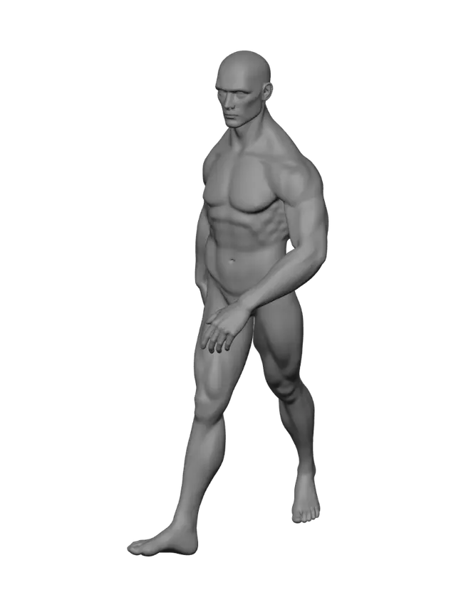 3D model for Blank human model