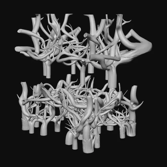 3D model for Tangled Roots