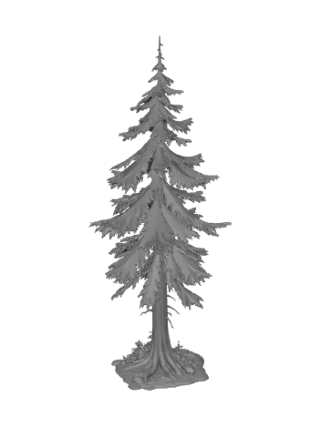 3D model for Towering Pine