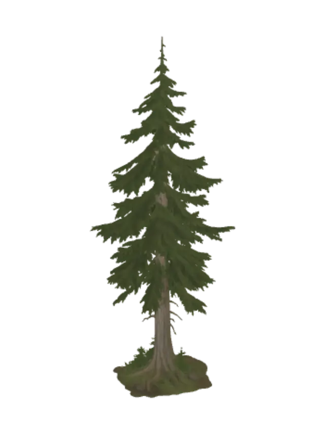 3D model for Towering Pine