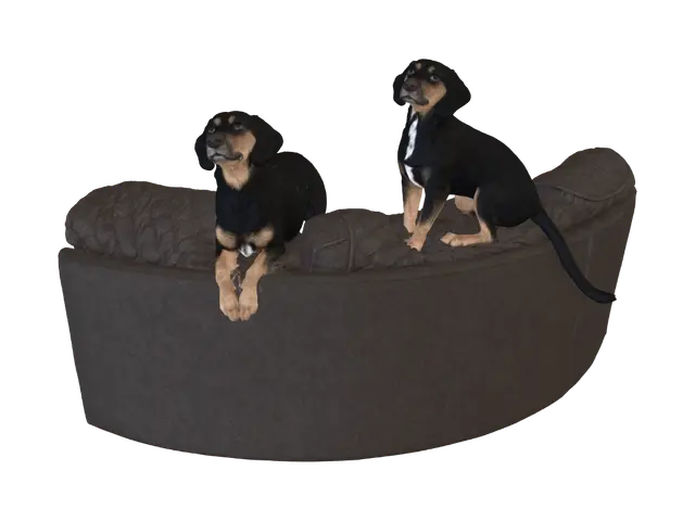 3D model for Couch Commanders