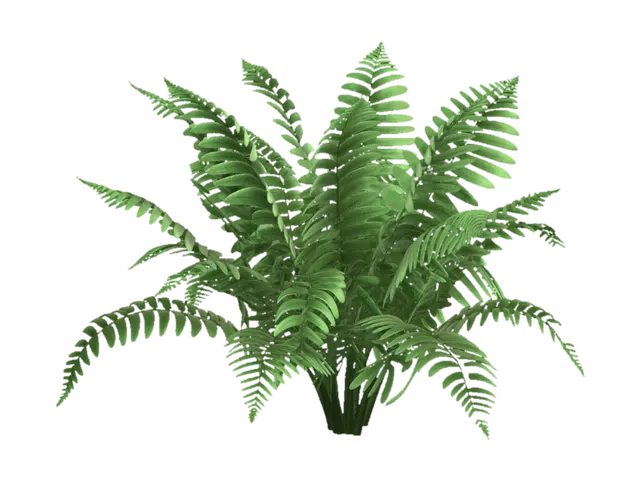 Lush Fern Foliage 3D model, vytvořený pomocí AI