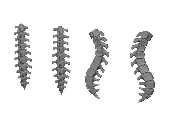 3D model for Columna Ósea