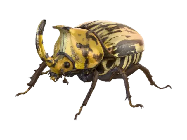 3D model for An oversized, robust rhinoceros beetle sculpture, also serving as a container, features a prominent, ridged horn and head in muted, chipped yellow with black patterns. Its large, domed upper shell displays faded markings, while the hinged lower body is painted with stark black and white diagonal stripes, showing flaked paint and scuffs. Six intricately detailed, gnarled brown legs protrude. The entire piece feels cold, solid, and rough, like aged, distressed metal and wood.