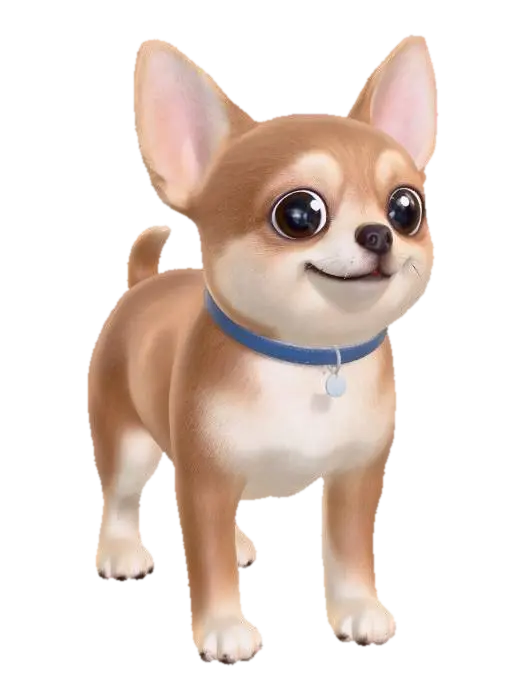 3D model for Big-Eyed Chihuahua