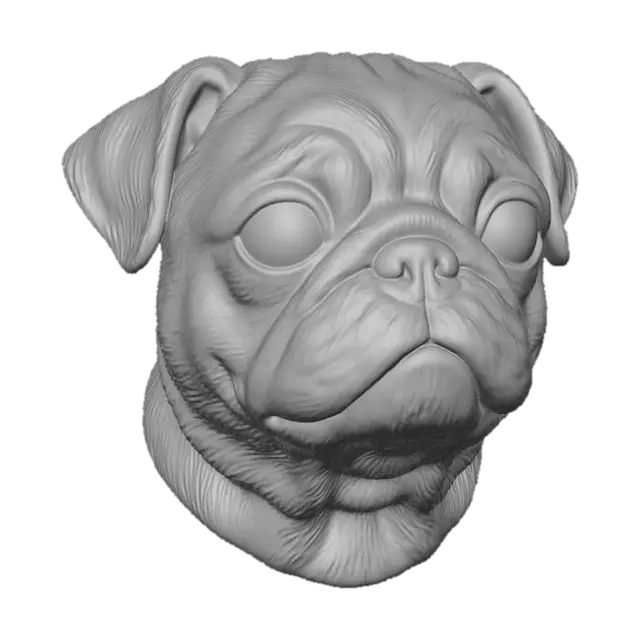 3D model for Pug Portrait