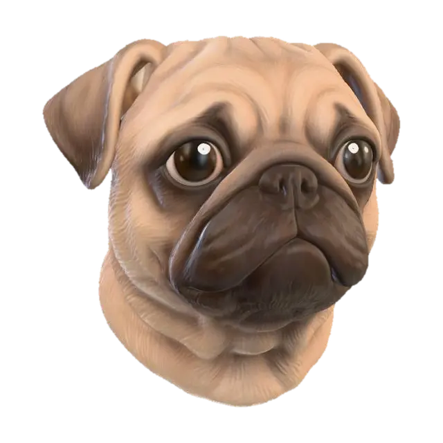 3D model for Pug Portrait