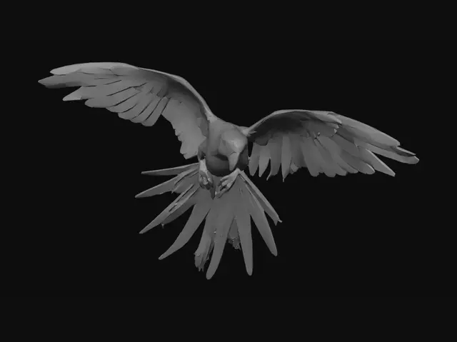 3D model for Blue-and-Yellow Macaw in Flight