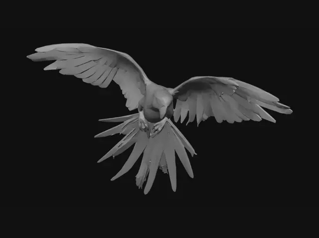 3D model for Blue-and-Yellow Macaw in Flight
