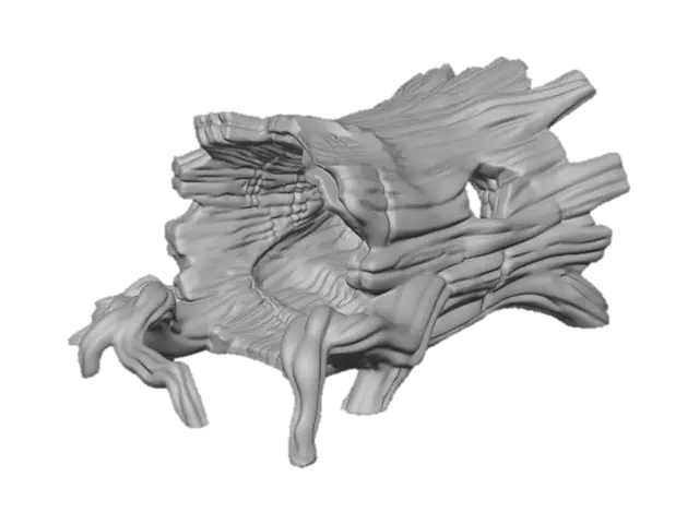 3D model for Hollow Root