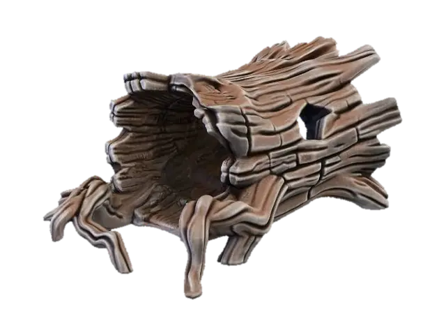 3D model for Hollow Root