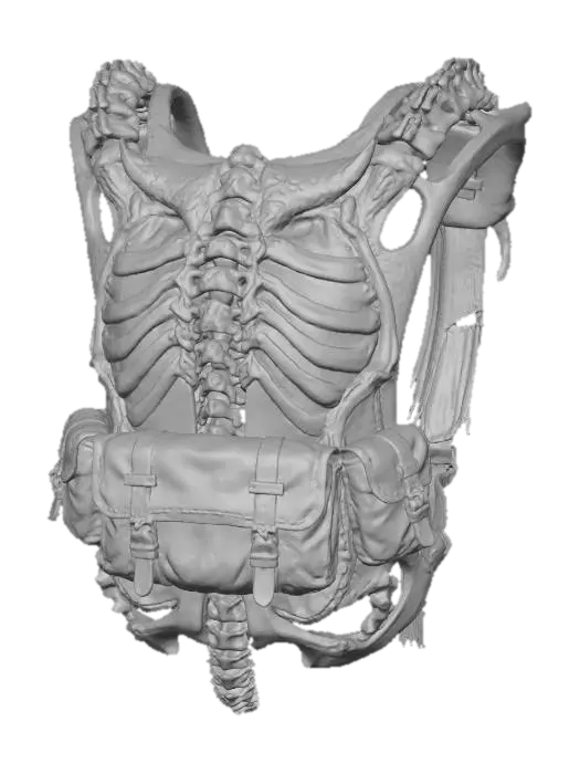3D model for An ornate, **skeletal backpack frame**, constructed from **dark, weathered metal** with **bone-colored composite sections** that mimic vertebrae and ribs. Designed to carry essential gear, it features **faded ochre-yellow canvas pouches** and a subtle **desaturated indigo utility strap**. The frame's exposed, **bio-art inspired structure** provides a rugged, ritualistic, yet stylistically conscious appearance with a diverse, low-saturation palette, embodying **Wabi-sabi design principles**.