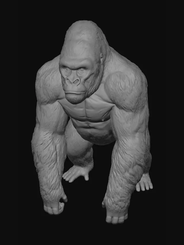 3D model for Skulptur eines gorillas original getreu mit fell Struktur
